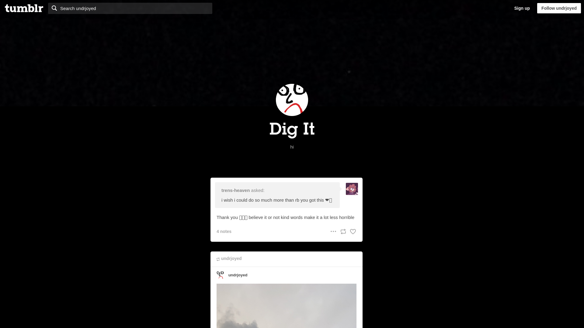 Screenshot https://undrjoyed.tumblr.com/